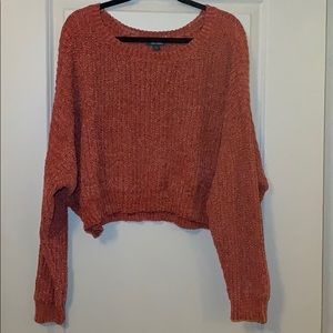 Wild fable cropped sweater